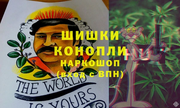 сатива Алексеевка
