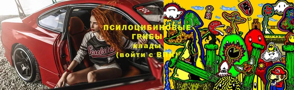 сатива Алексеевка