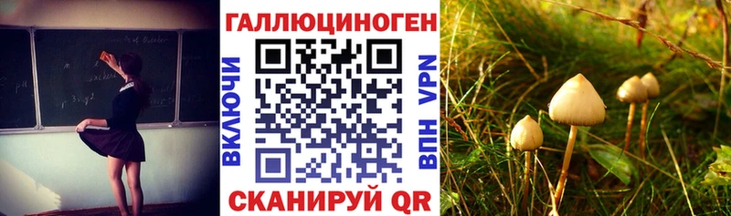 Псилоцибиновые грибы GOLDEN TEACHER МЕГА ссылка Пыталово